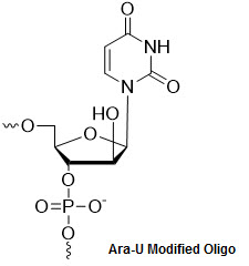 Bio-Synthesis Inc. Oligo Structure